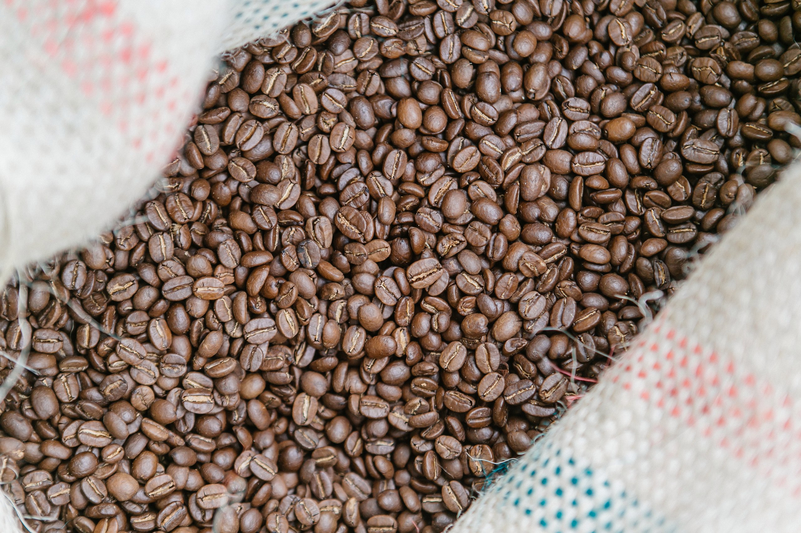 Экскурсия, лекция и каппинг на производстве BunaCoffee