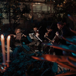 Магия свечей. «От Вивальди до Jingle Bells»
